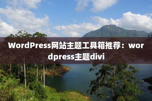 WordPress网站主题工具箱推荐：wordpress主题divi